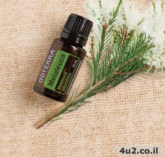 מללוכה, עץ התה, שמן אתרי טהור, 15 מ"ל