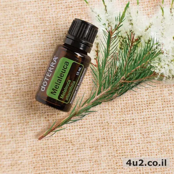 מללוכה, עץ התה, שמן אתרי טהור, 15 מ”ל