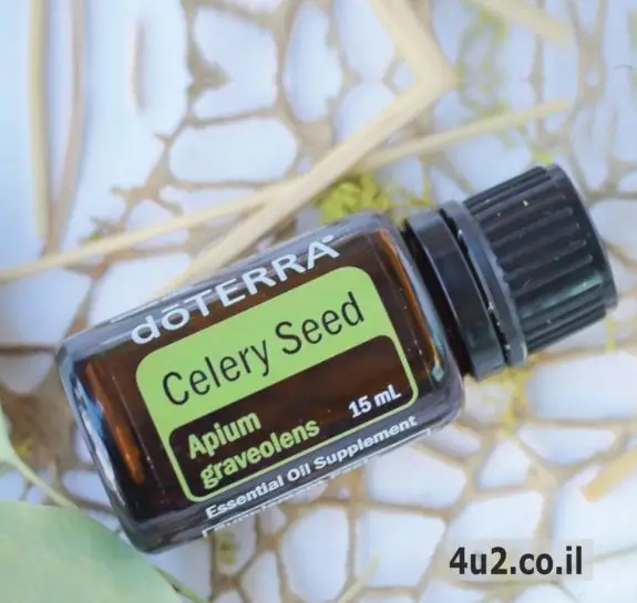 סלרי זרעים, שמן אתרי טהור