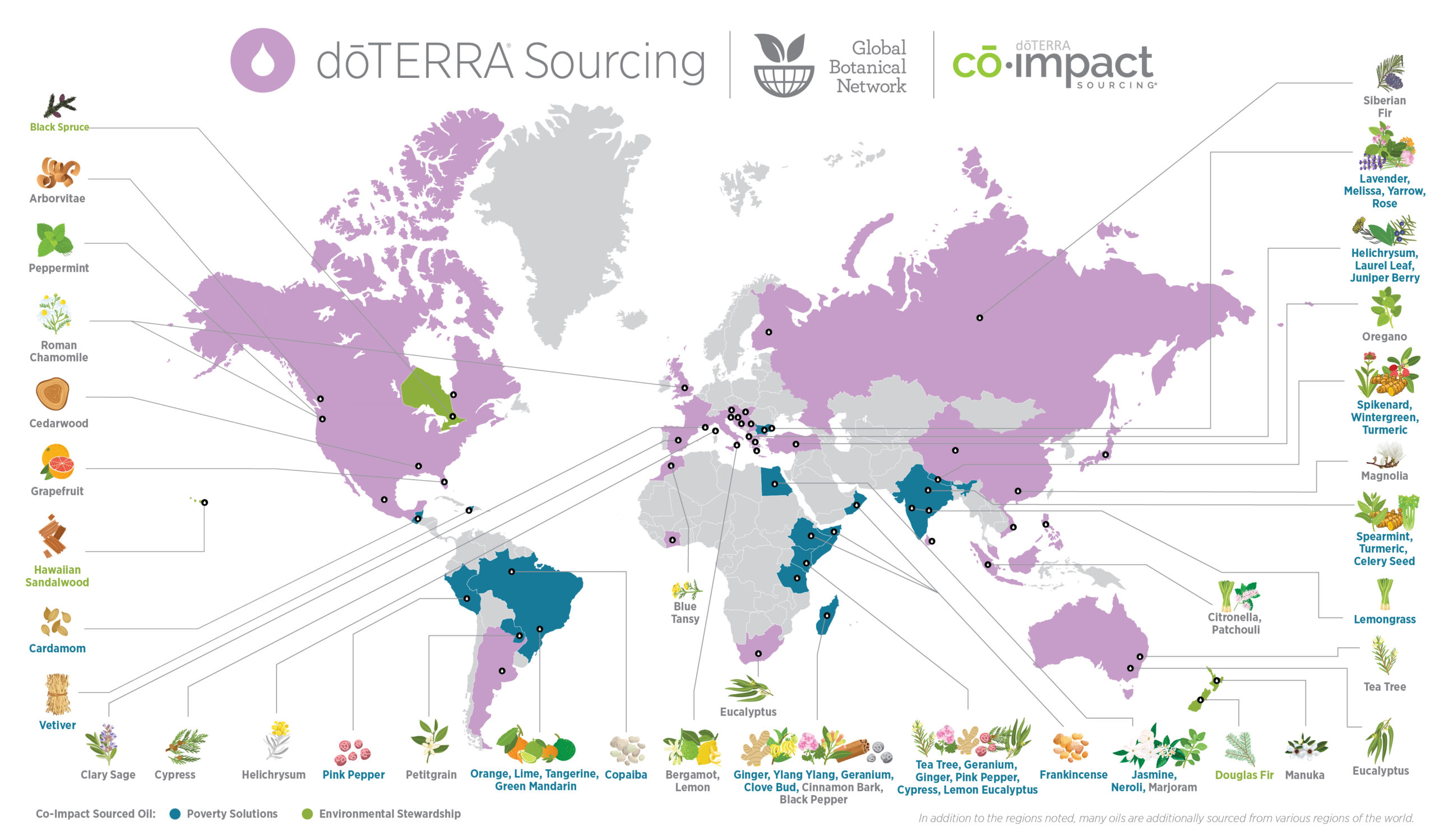 sourcing-global-botanical-network