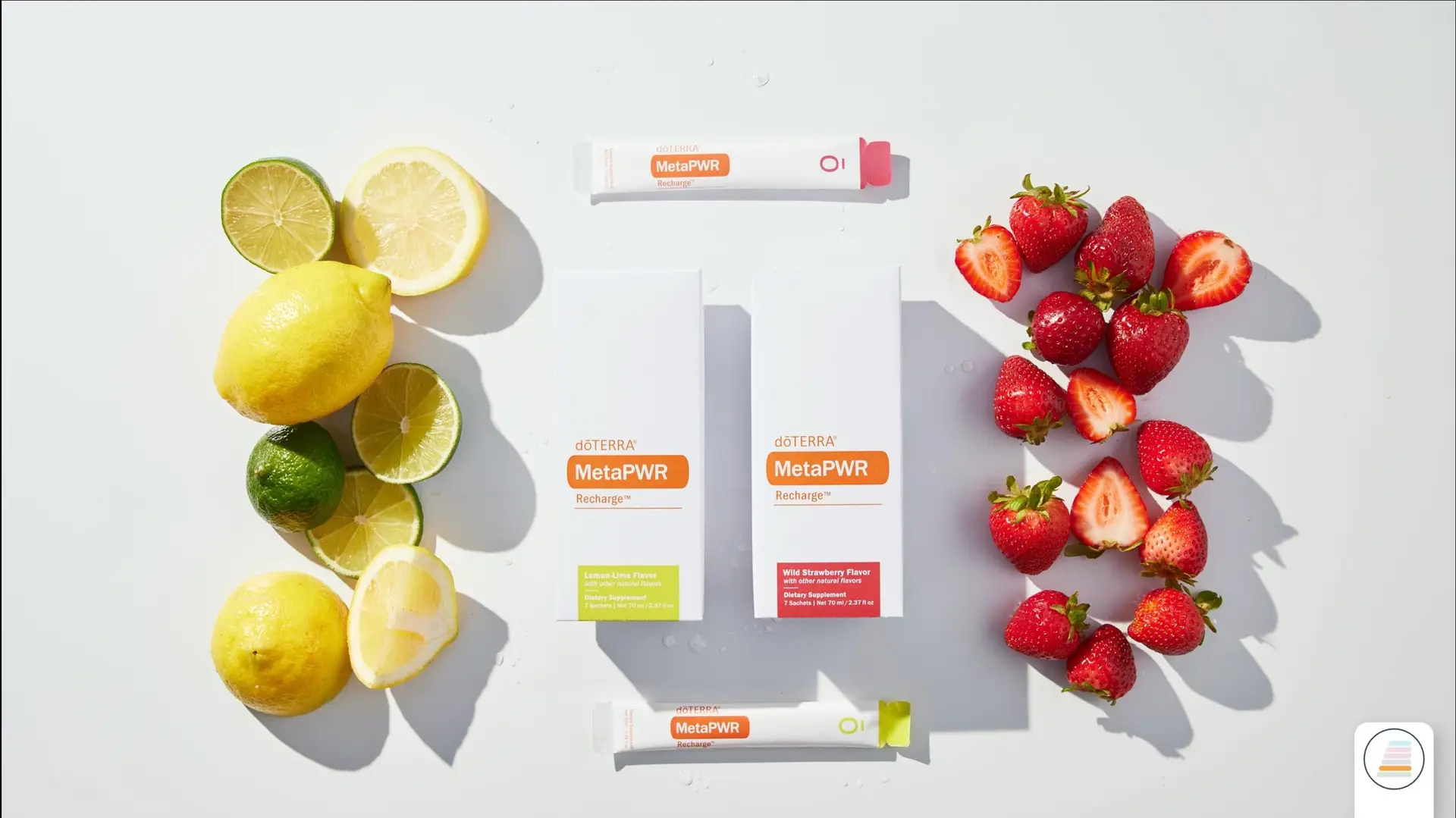 metaPWR electrolites