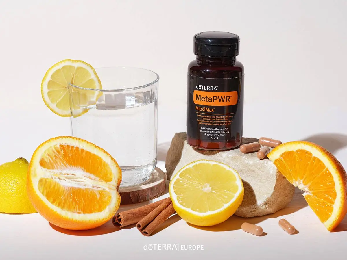 metapwrmito2max banner