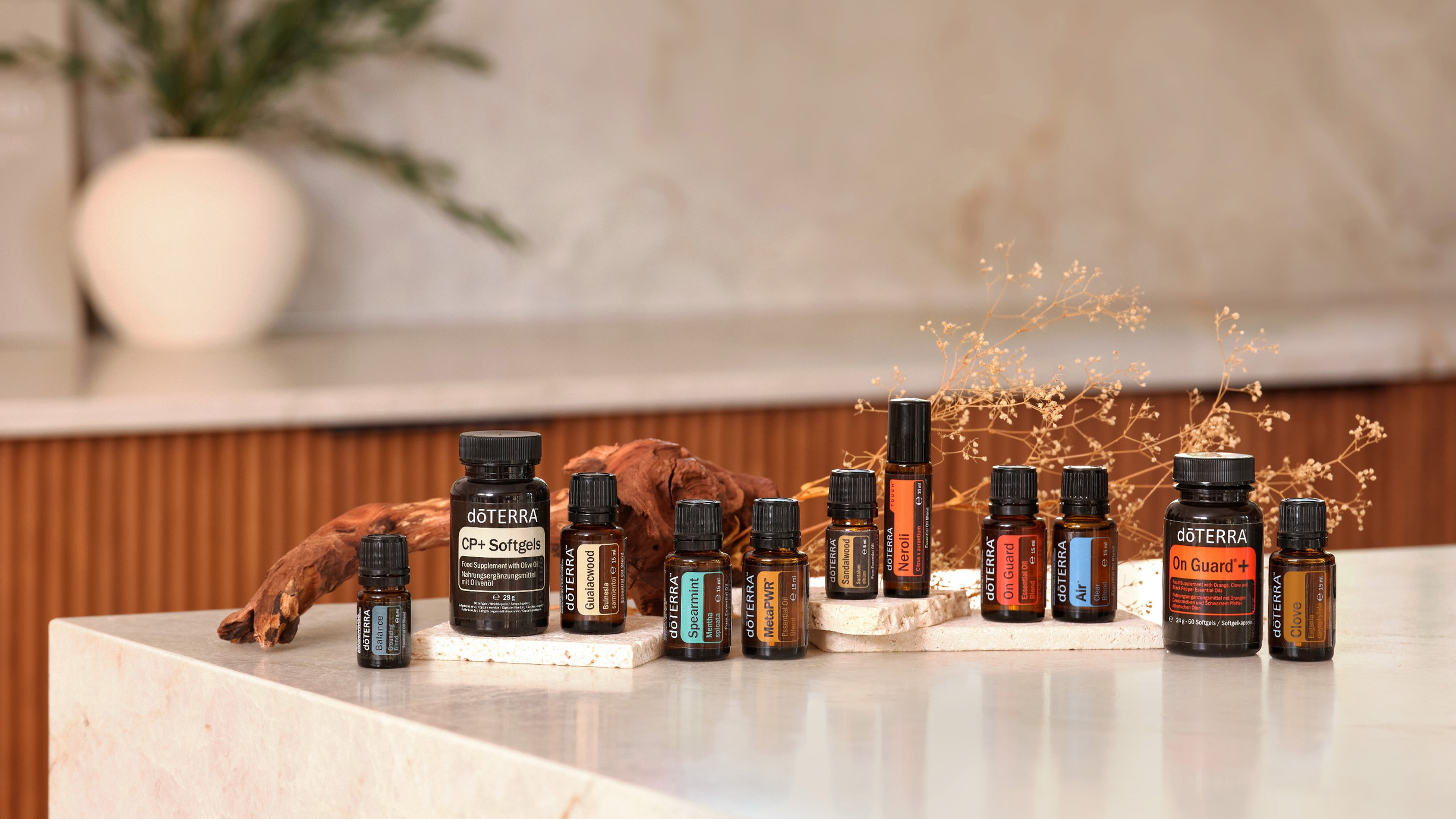 bogo EU 10-2024 Banner